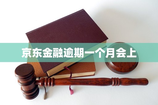 京开云体育东金融逾期一个月会上(图1)